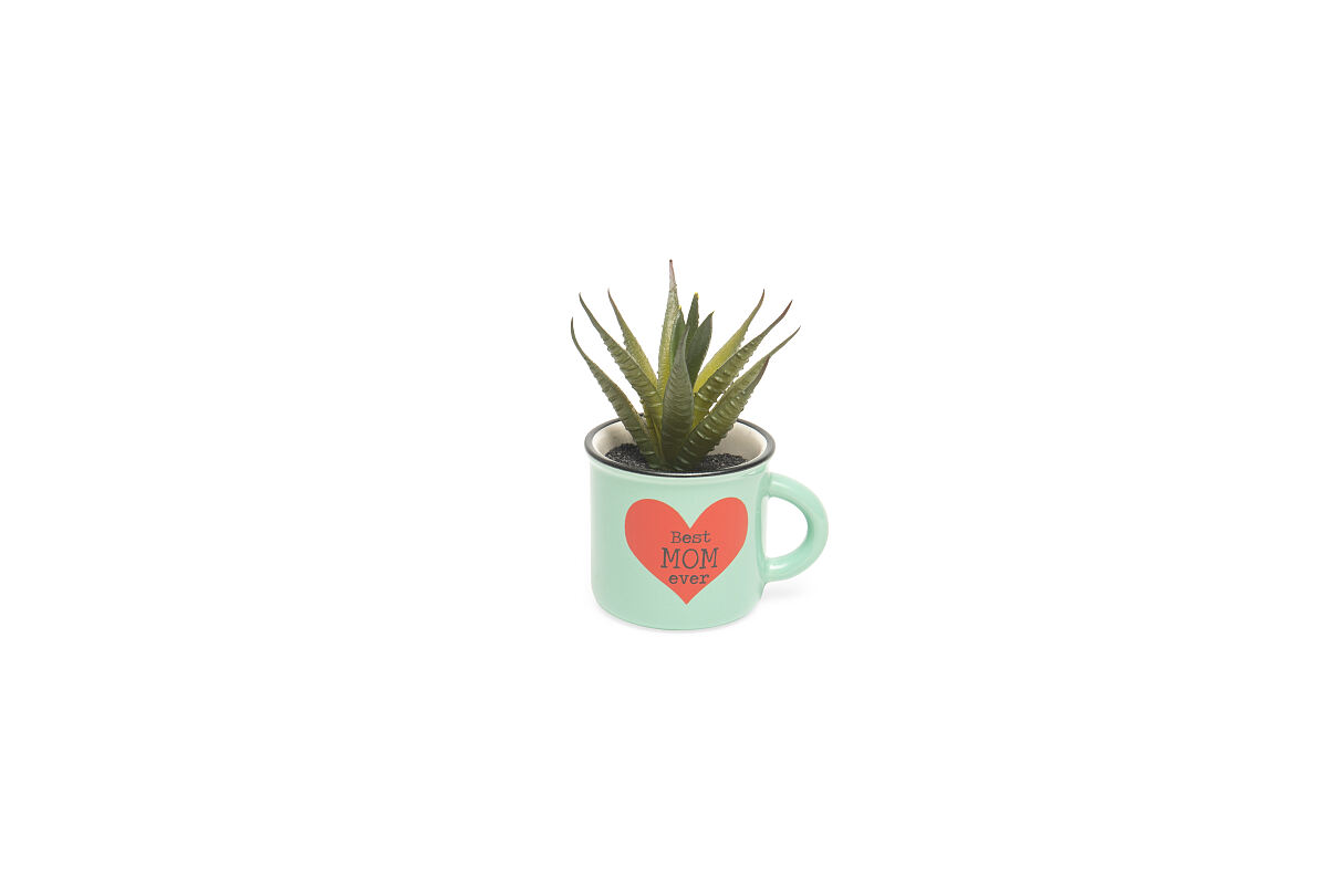 TK Maxx_Blume in der Tasse best mom ever_12,99€