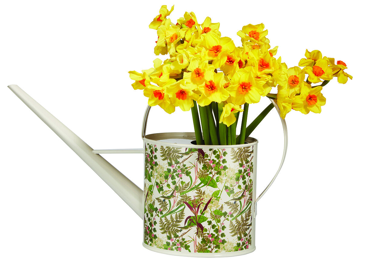 TK Maxx_Blumengießkanne_8.99 EUR