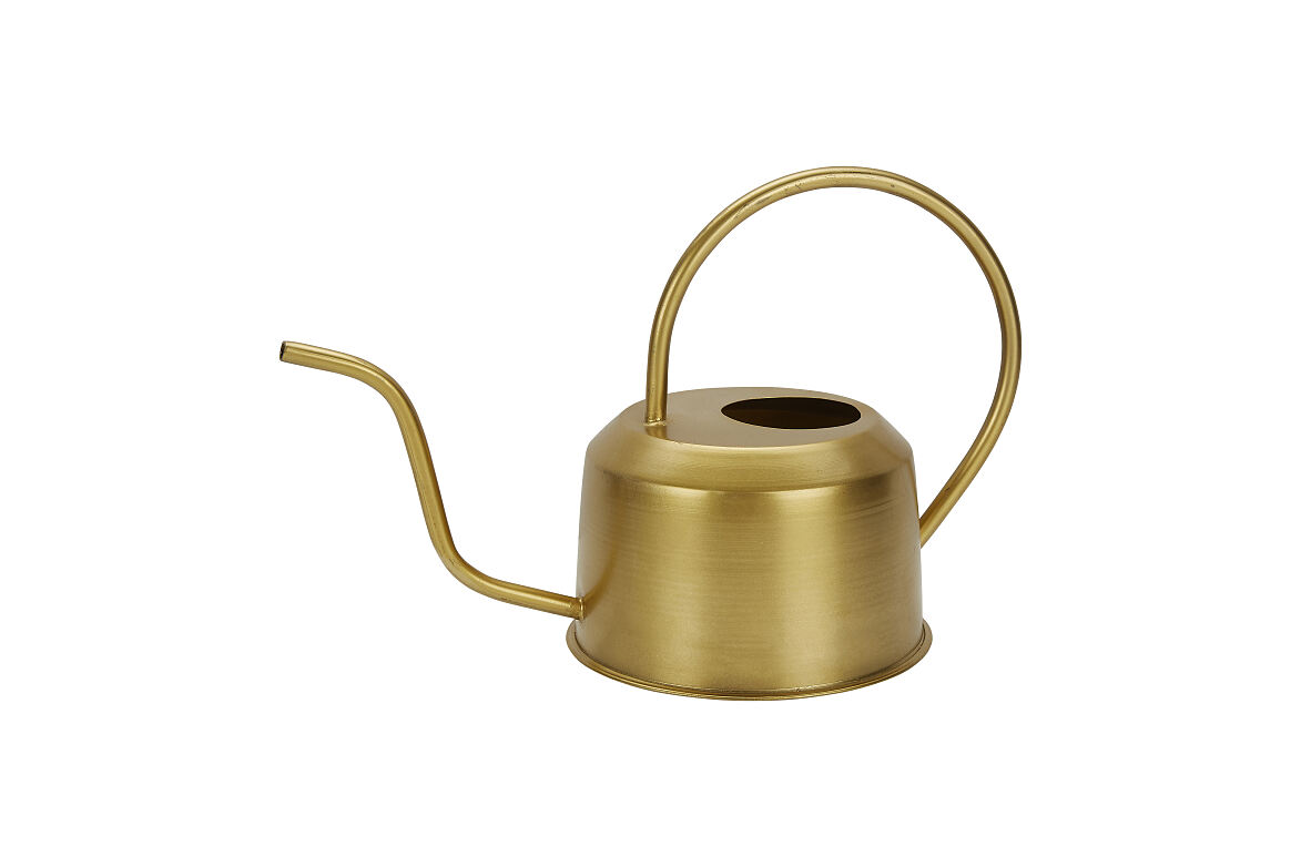 TK Maxx_goldene Gießkanne_12.99 EUR