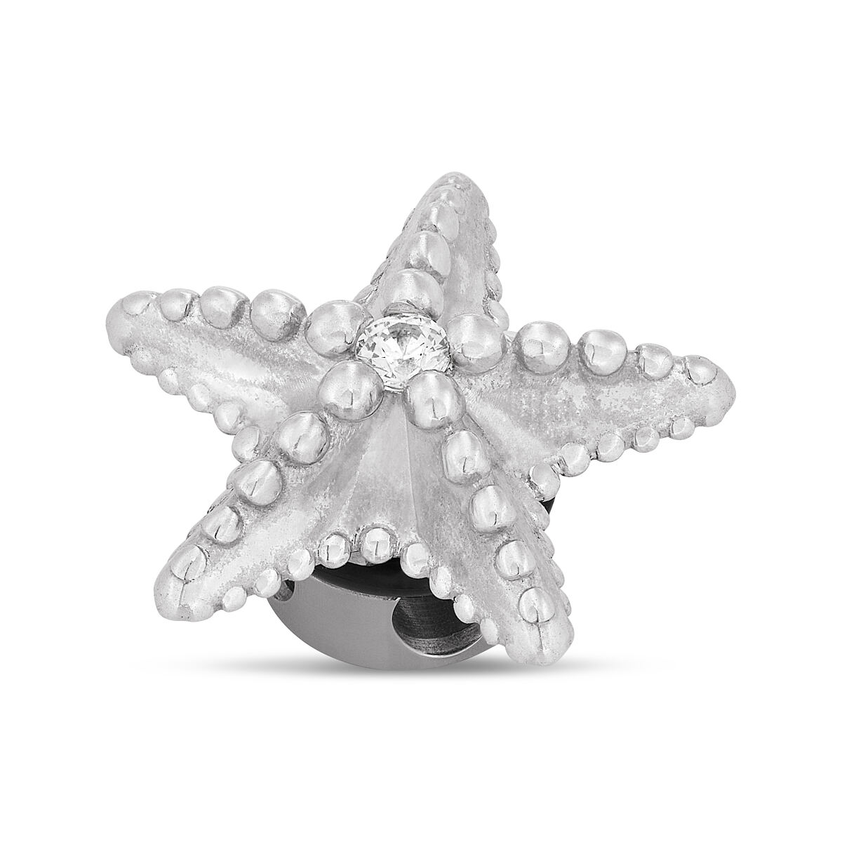 ESbD CHARLOTTE Starfish