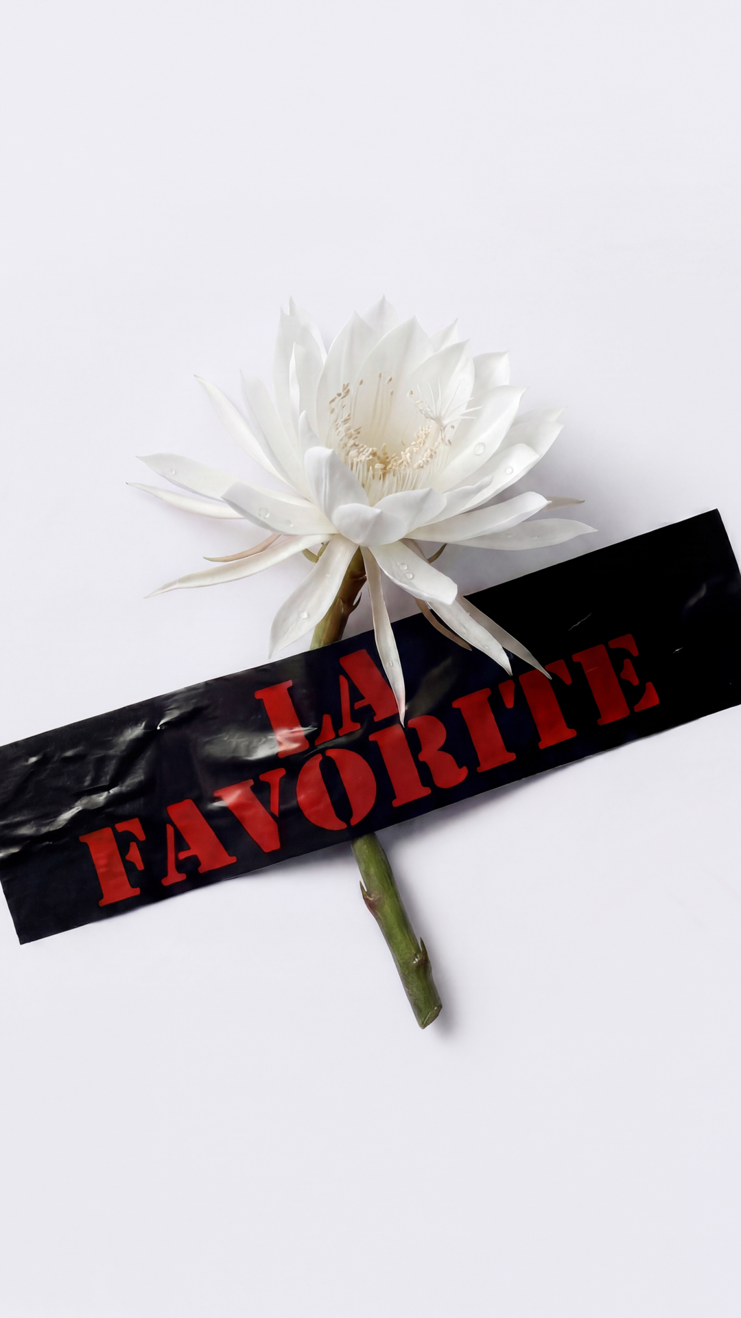 magnific__talk__87628_edit - Kopie