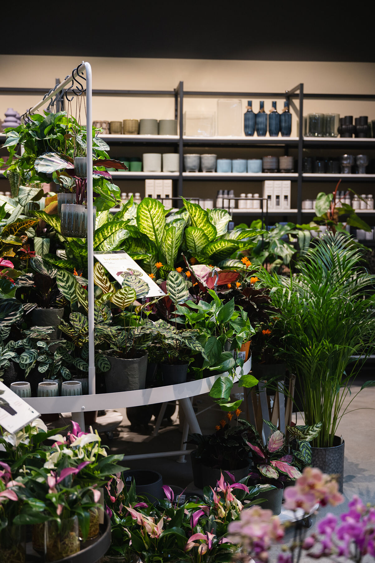 2022-10-bellaflora-salon-verde-by-marion-payr-192