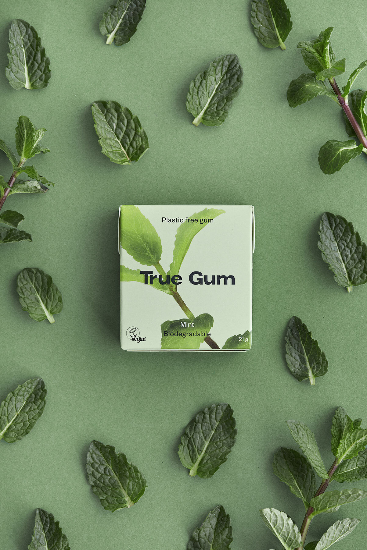 True Gum Mint Packs