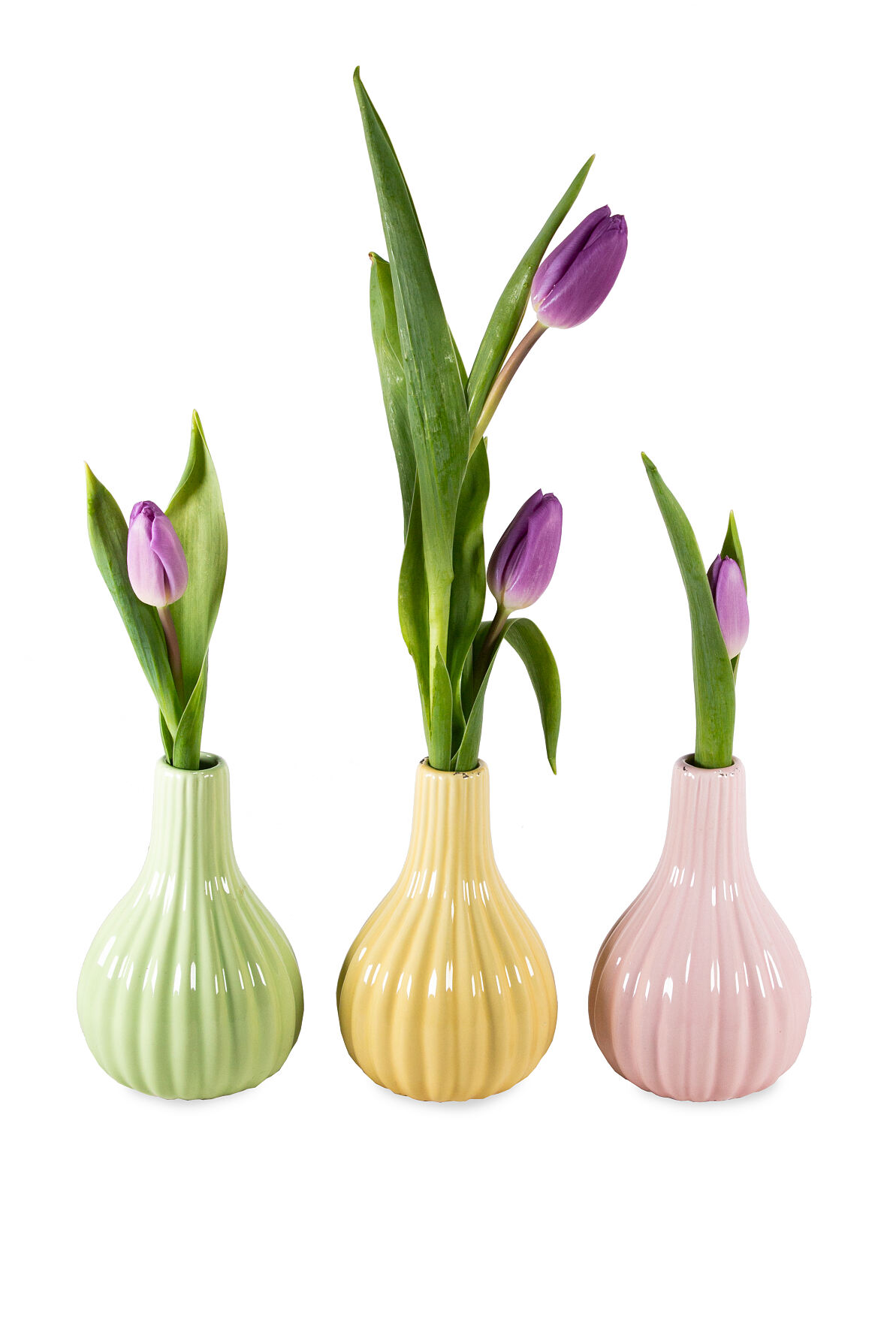 Salon Verde_Tulpen aus NÖ_Bund 5,99EUR_Dekovase aus Keramik_6,99EUR