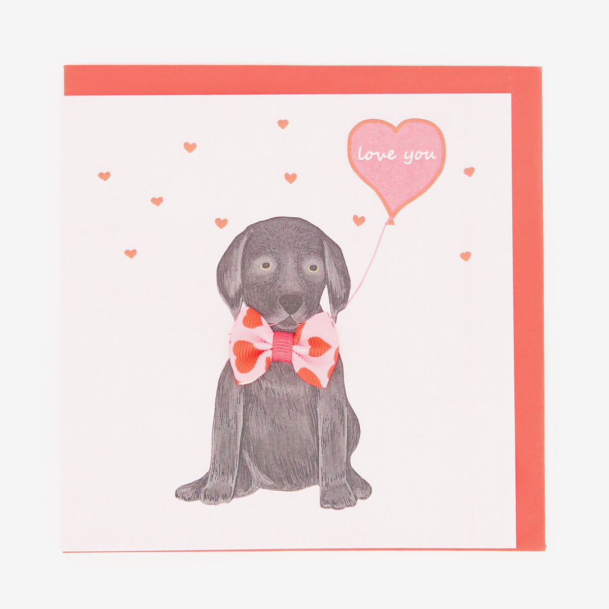TK Maxx – Labrador-Valentinskarte €2,99 ( UVP €4,99)